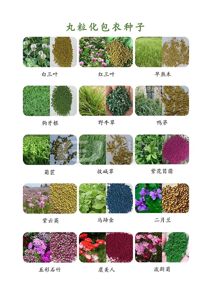 种子丸；庸