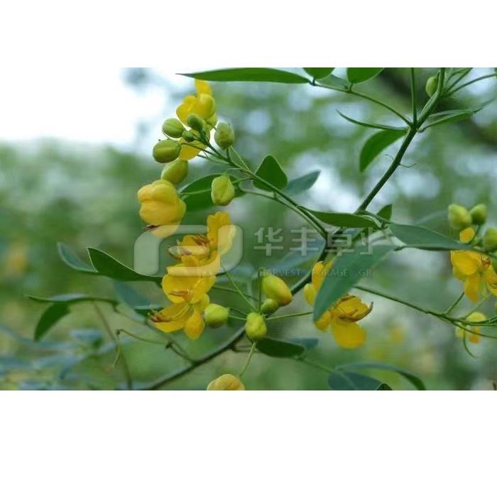 1673527570937160