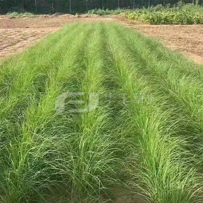 1677295771348185
