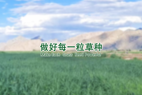 首页| 918博天堂集团中国官方网站
