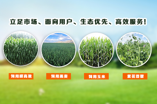 首页| 918博天堂集团中国官方网站