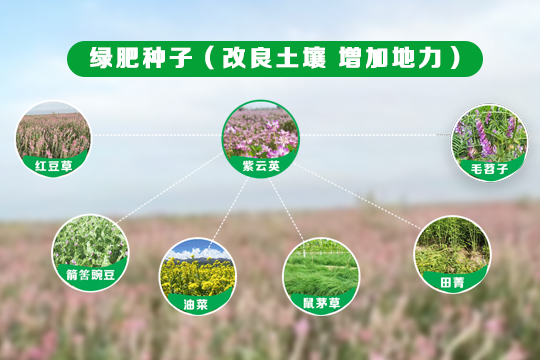 首页| 918博天堂集团中国官方网站