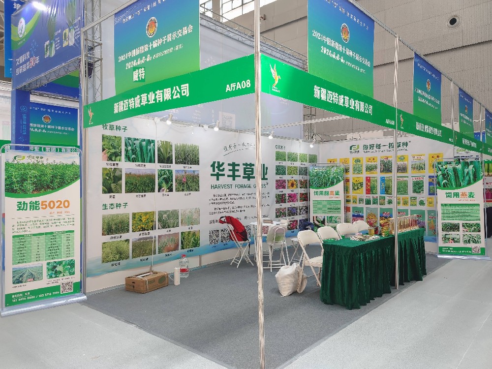 918博天堂参与新疆第十届种子展示买卖会